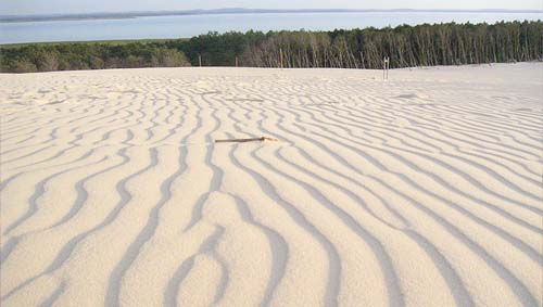 Slowinski Sand Dunes